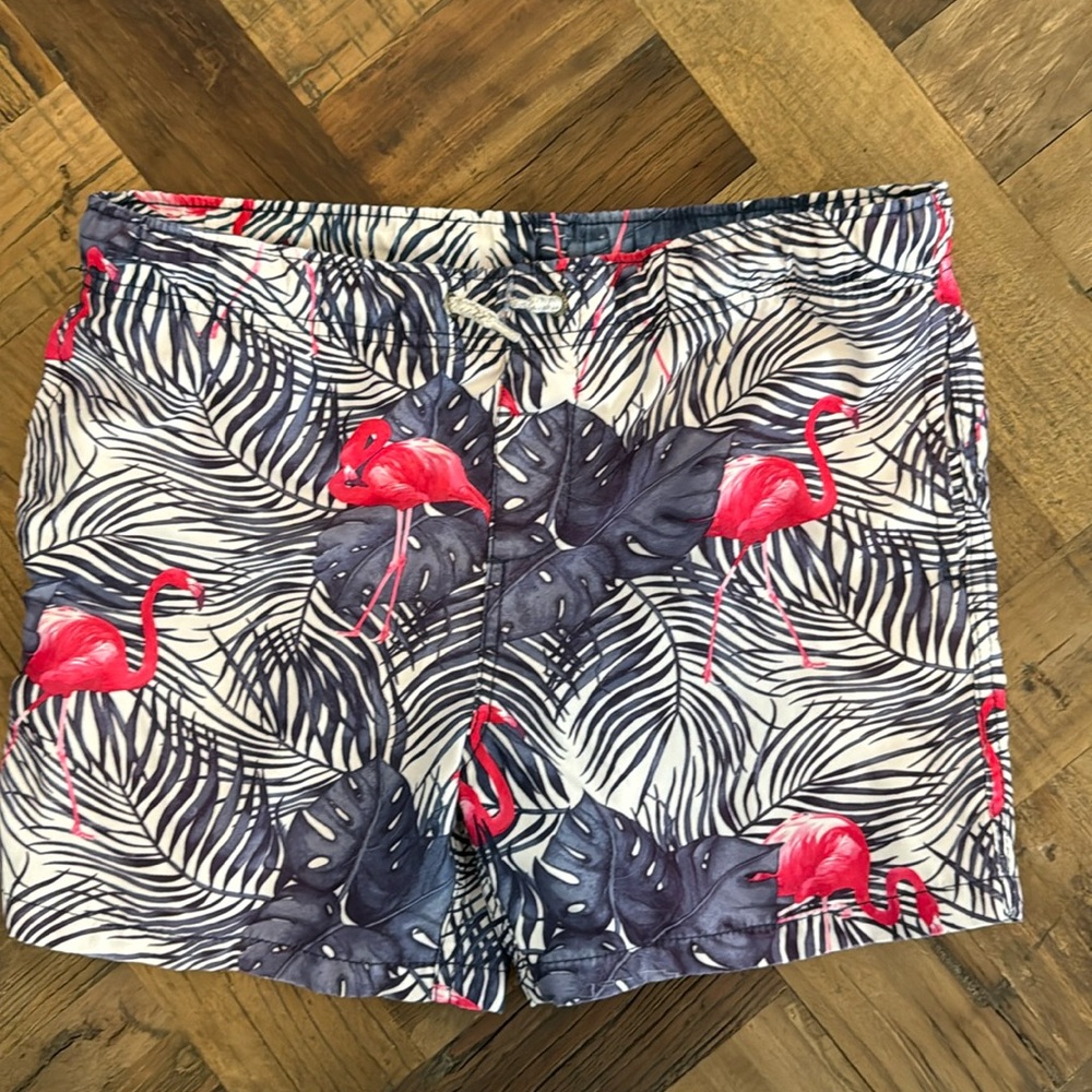 Surf Style Swim Trunks